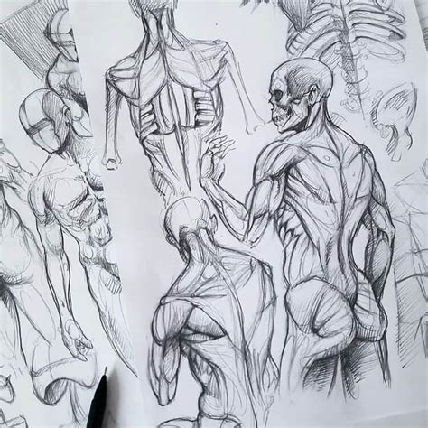 Human Anatomy Drawing Ideas and Pose References - Beautiful Dawn Designs