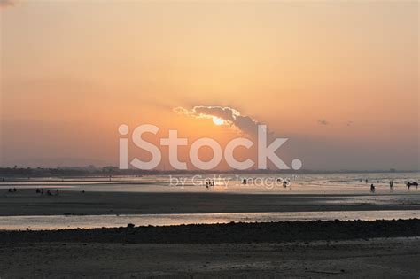 Sunset At The Beach In Oman Stock Photo | Royalty-Free | FreeImages