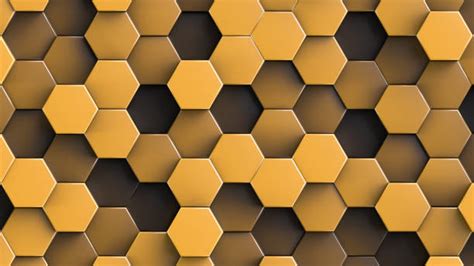 570+ Honeycomb Shades Photos Stock Photos, Pictures & Royalty-Free Images - iStock