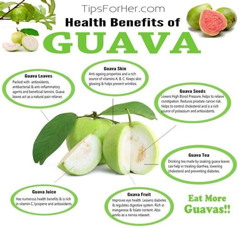 Health Benefits of Guava & Why You Should Start Eating Them | Guava ...