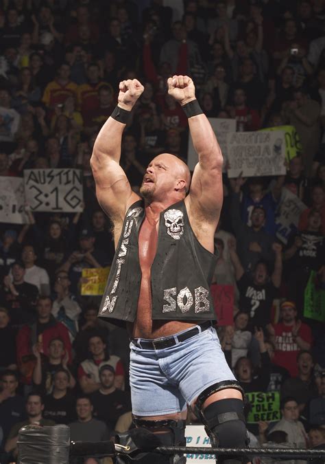 WWE: Stone Cold Steve Austin