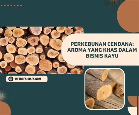 Perkebunan Cendana: Aroma yang Khas dalam Bisnis Kayu - Metode Sukses Bisnis