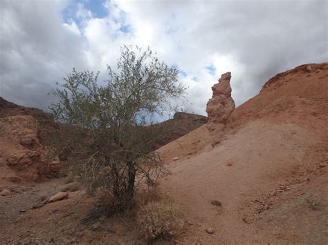 Painted Desert Dayhike – Wife in the Country