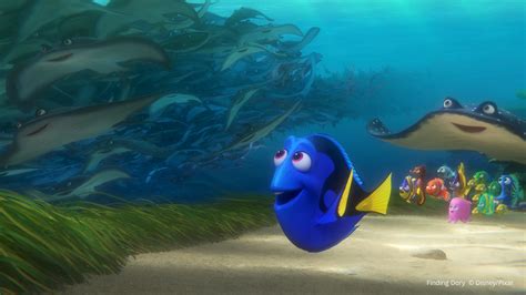 The tech of PIXAR part 2: Finding Dory – making waves | fxguide