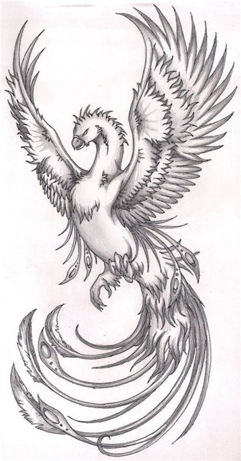 24 best Fire Phoenix Drawing Tattoo images on Pinterest | Phoenix bird, Phoenix bird tattoos and ...