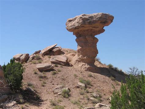 Camel Rock - Natural Rock Formation Photograph by Dora Sofia Caputo - Pixels