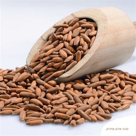 Pine Nuts chilgoza Premium Quality Pine Nuts Whole Pine From ...