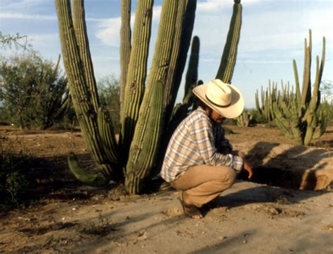 Etnografía del pueblo yaqui de Sonora.