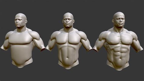 Sculpt Steps - Male Torso Anatomy - Buy Royalty Free 3D model by ...