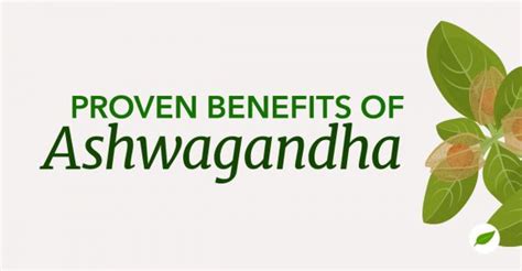 3 Ways That Ashwagandha Benefits Your Everyday Health - NHC