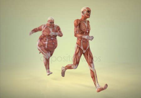 Running Man Anatomy Stock Photo by ©Giovanni_Cancemi 19721477