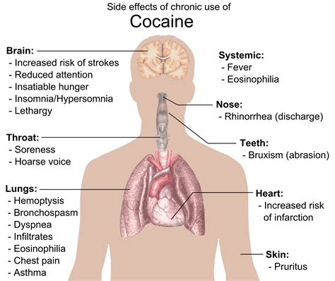 Psychology and Cocaine. | Psycho Hawks