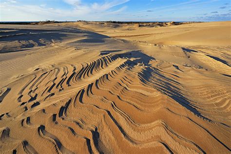 Silver Lake Sand Dunes Photograph by Dean Pennala - Fine Art America