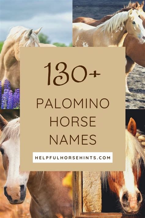 130+ Palomino Horse Names - Helpful Horse Hints