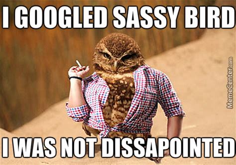 Sassy Memes. Best Collection of Funny Sassy Pictures