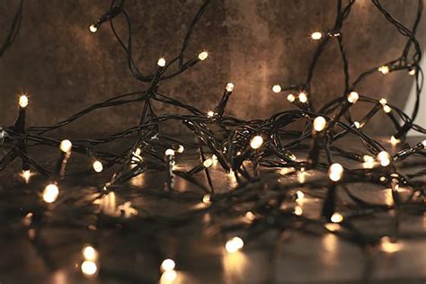 1000 Warm White LED String Lights | The Christmas Forest