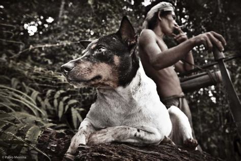 Indonesia’s Modernization of The Mentawai Means Burning Down Villages To Make Room For Loggers