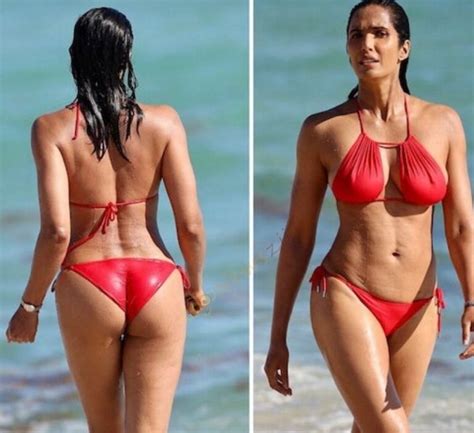 20+ Tulsi Gabbard Hot Bikini Photos - N4GM