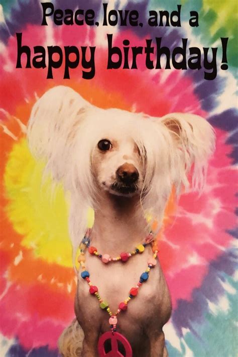 Funny Birthday Dog