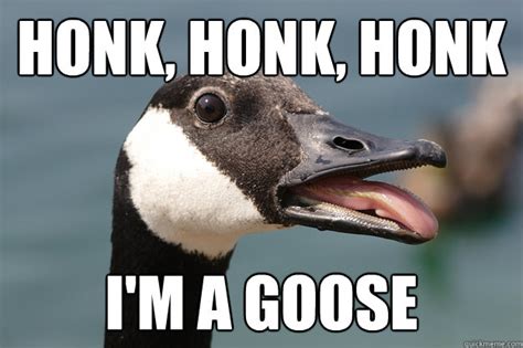 Honk, honk, honk I'm a goose - Silly Goose - quickmeme