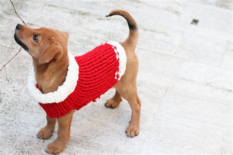 Christmas Puppy Sweater Knitting Pattern | Handy Little Me