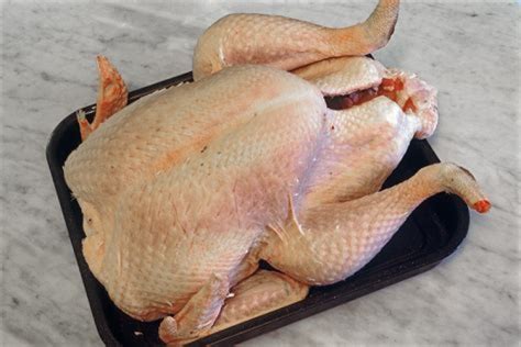 (28-30 lb) Frozen Broad Breasted White Turkey - Hoosier Heritage Farm