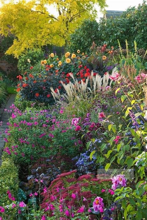 The Best Perennial Plants for Cottage Gardens