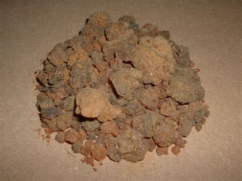 What are myrrh uses | General center | SteadyHealth.com