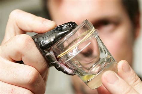 Azerbaijan seeks to boost snake venom production for export