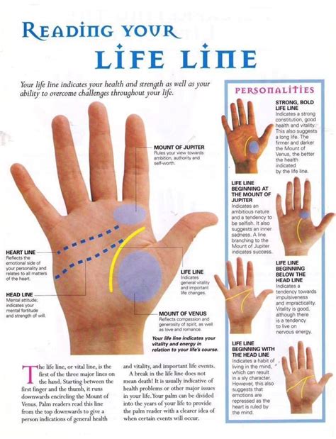 Life line Wiccan, Witchcraft, Palmistry Reading, Palmistry Hand, Palm ...