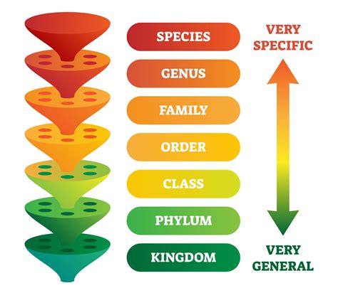 Classification - Australian Environmental Education