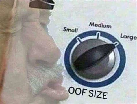 25 Of The Best And Funniest "Oof Size Large" Memes