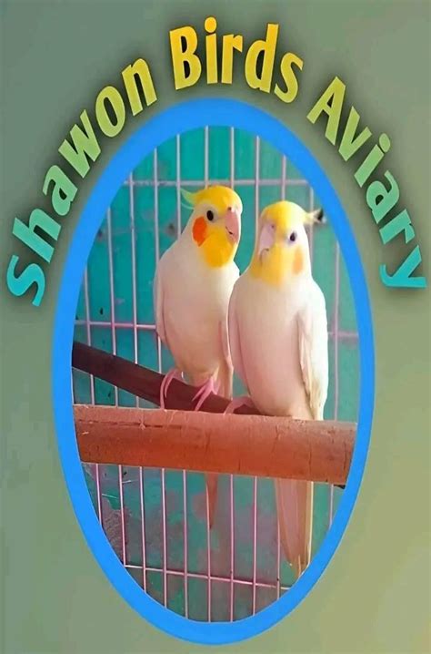 Shawon Birds Aviary