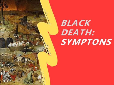 Medieval History Bundle - Black Death causes, symptoms, cures, affect of the plague, and the ...