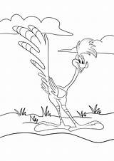 Road Runner And Coyote Coloring Pages sketch template