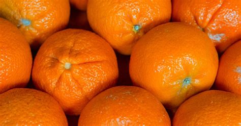 Close Up Photo Of Orange Fruits · Free Stock Photo