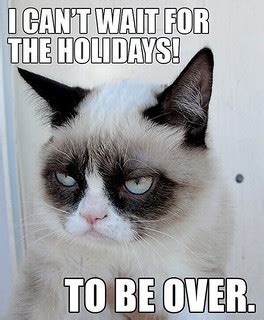 Grumpy Cat | We can wait, Grumpy Cat! | Neon Tommy | Flickr