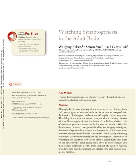 (PDF) Watching Synaptogenesis in the Adult Brain