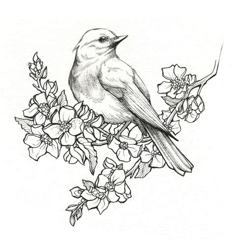 Drawing Flowers & Mandala in Ink | Pencil drawings of flowers, Bird drawings, Bird sketch