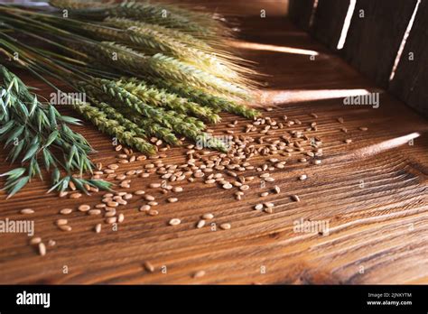 cereal grain, grain, cereal grains, grains Stock Photo - Alamy