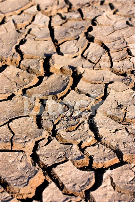 Dry Cracked Earth Stock Photo | Royalty-Free | FreeImages