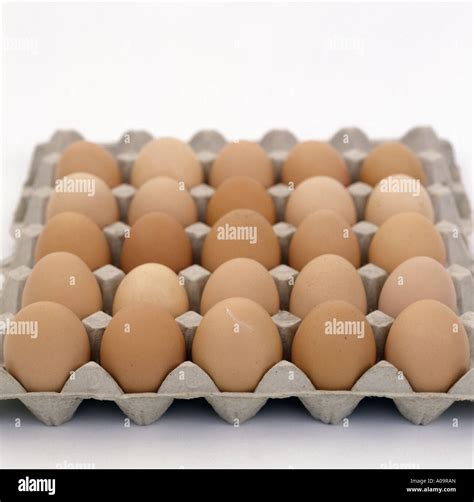 organic eggs in a carton Stock Photo - Alamy