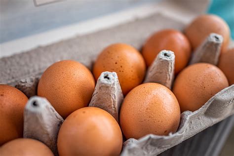 Investigation Update: Salmonella Outbreak, Eggs 2024 | Salmonella ...