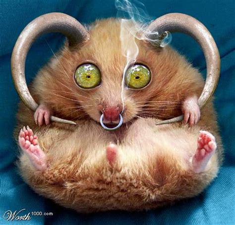 "Horned Hamster" (happy Halloween!) | By MzPresto - who turn… | Flickr