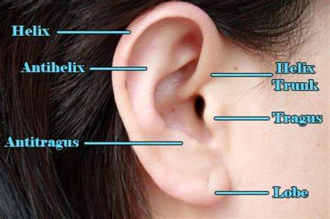 How To Put In A Helix Piercing - Anderson Beesic