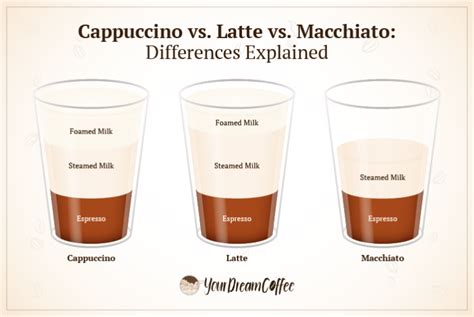 Cappuccino vs. Latte vs. Macchiato: Differences Explained