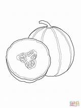 Cantaloupe Coloring Page  Free Printable Coloring Pages sketch template