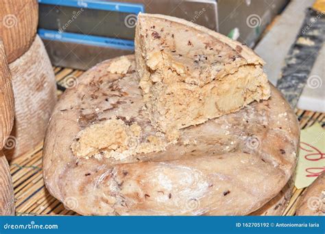 Casu Marzu, Sardinian Cheese with Worms Stock Photo - Image of nuoro, dairy: 162705192