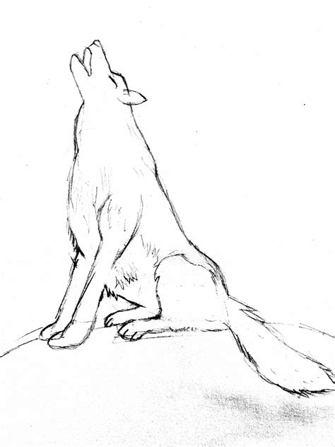 Wolf Sketch Howling at PaintingValley.com | Explore collection of Wolf ...