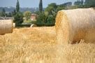 Free square grass bales Photos & Pictures | FreeImages